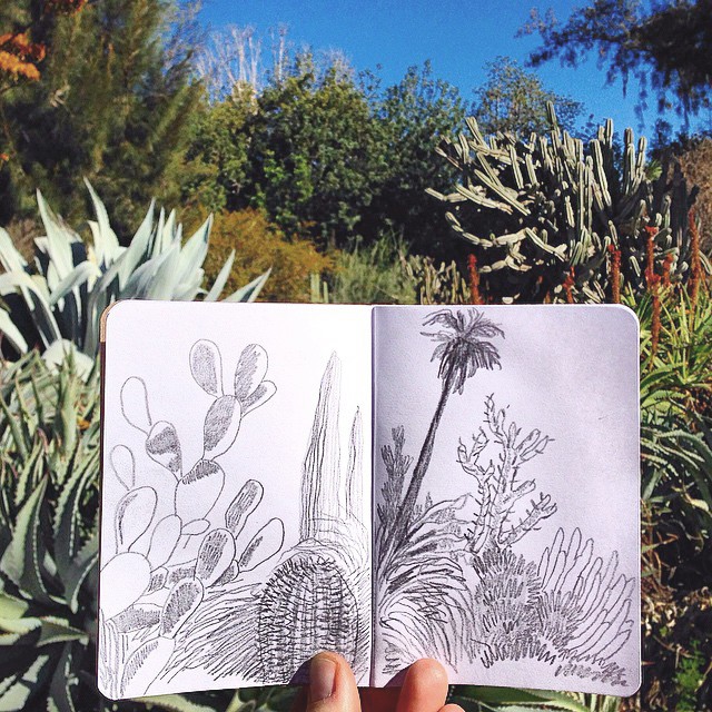 Sketching outdoors - Cotton & Flax