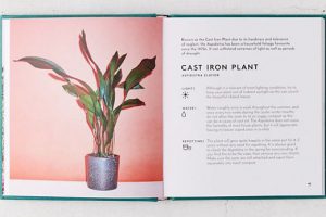 Little Book of House Plants - Best decor books